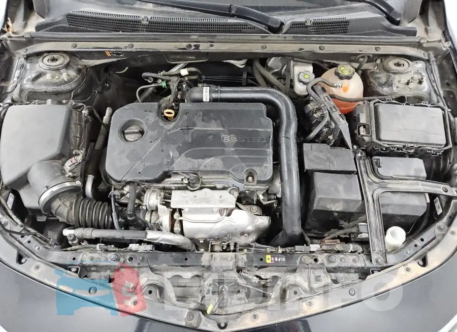 1G1ZB5ST5LF015853 Photo# 11