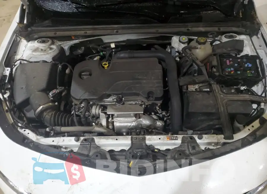 1G1ZD5ST9PF182684 Photo# 11