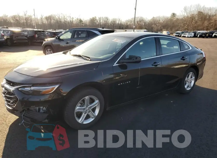 1G1ZD5STXPF229981 Photo# 1