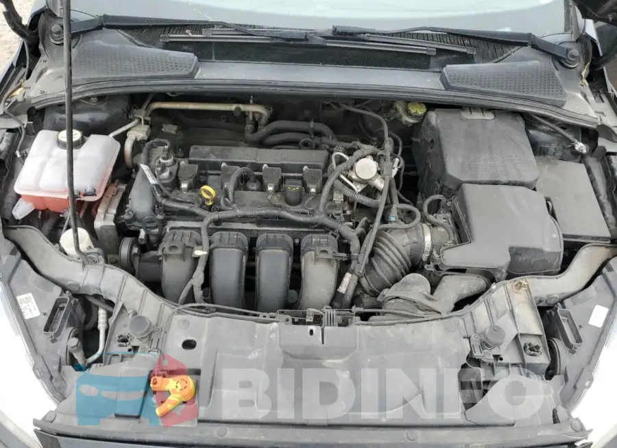 1FADP3F20GL359967 Photo# 11