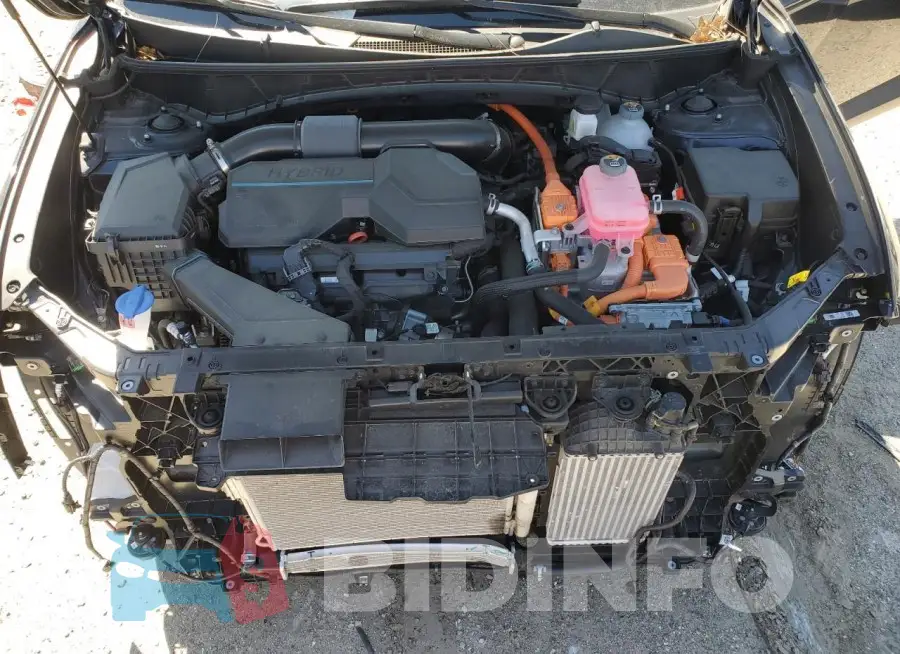 KM8JECD13RU186242 Photo# 12