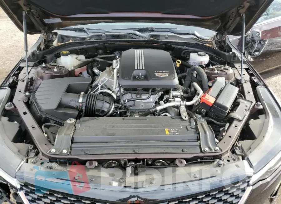 1G6DB5RK7M0110517 Photo# 11