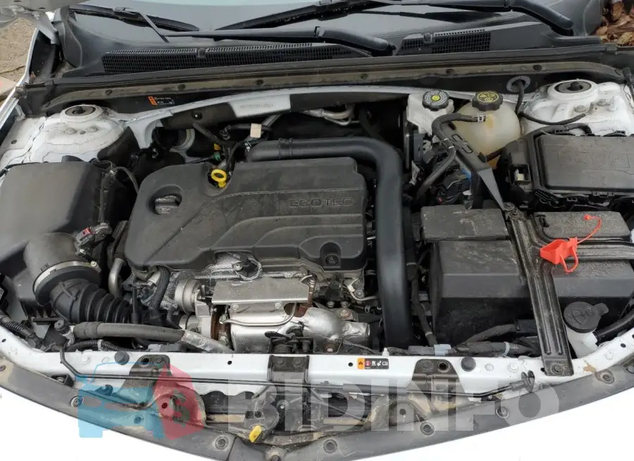 1G1ZD5ST5RF110187 Photo# 11