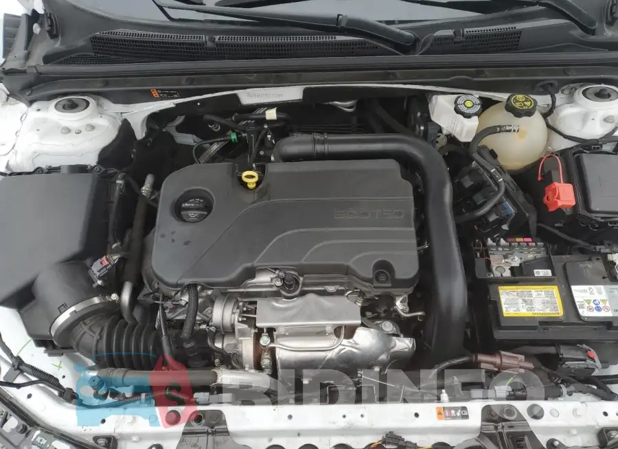 1G1ZG5ST7PF173280 Photo# 11