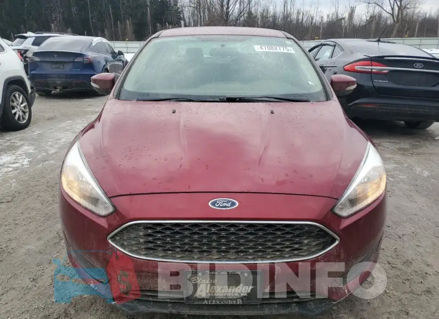 1FADP3F22HL345201 Photo# 5