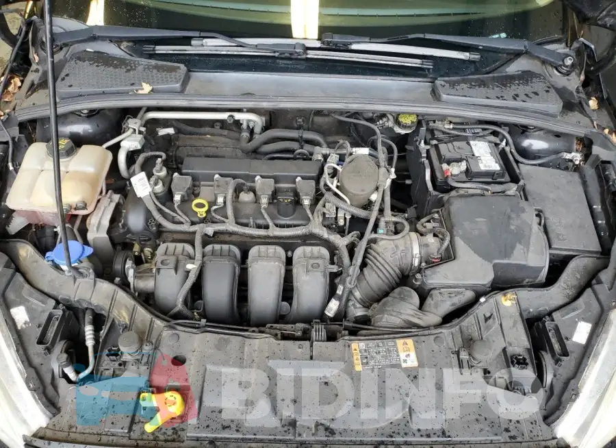 1FADP3F24GL205083 Photo# 11