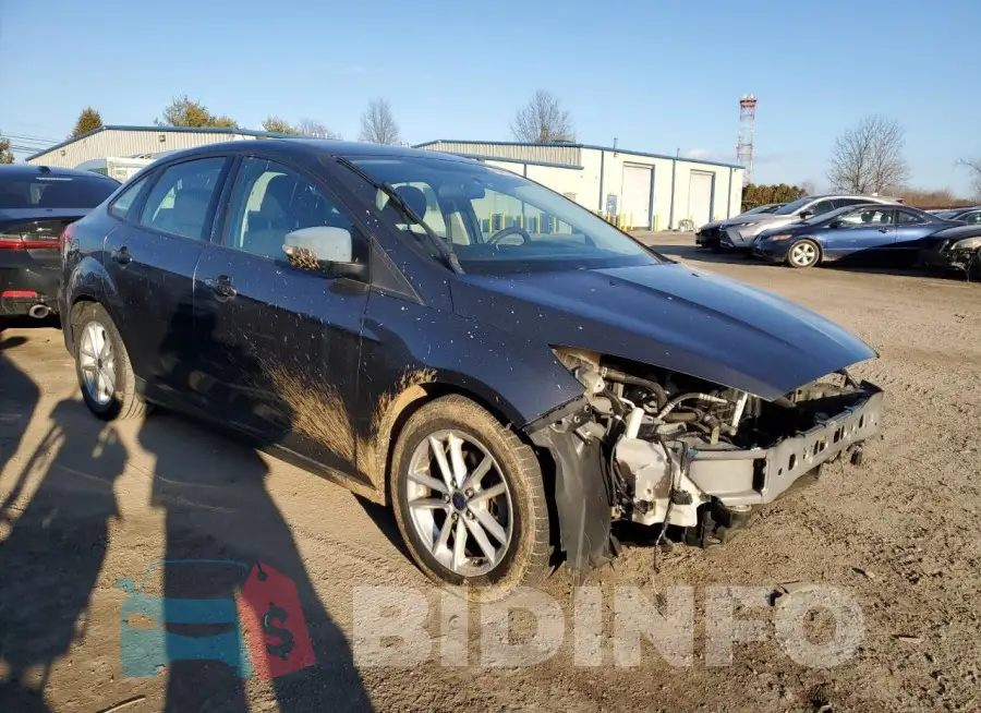 1FADP3F2XGL248746 Photo# 4