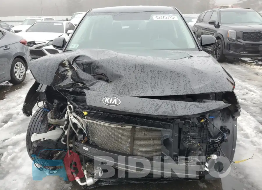 KNDEPCAA8M7084818 Photo# 5