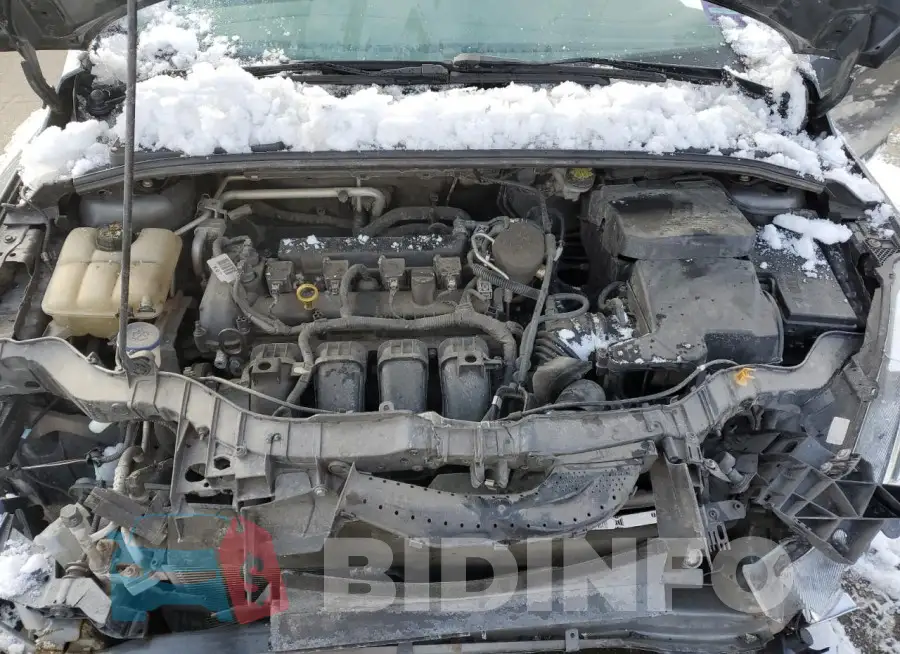 1FADP3E23GL260920 Photo# 11