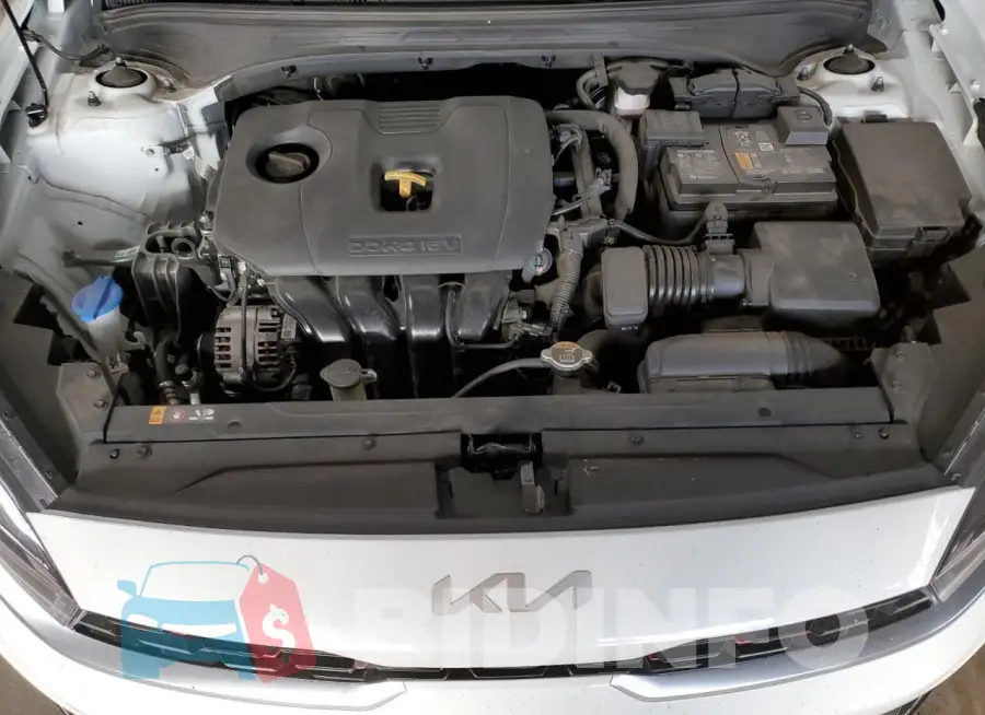 3KPF54AD5RE770106 Photo# 11