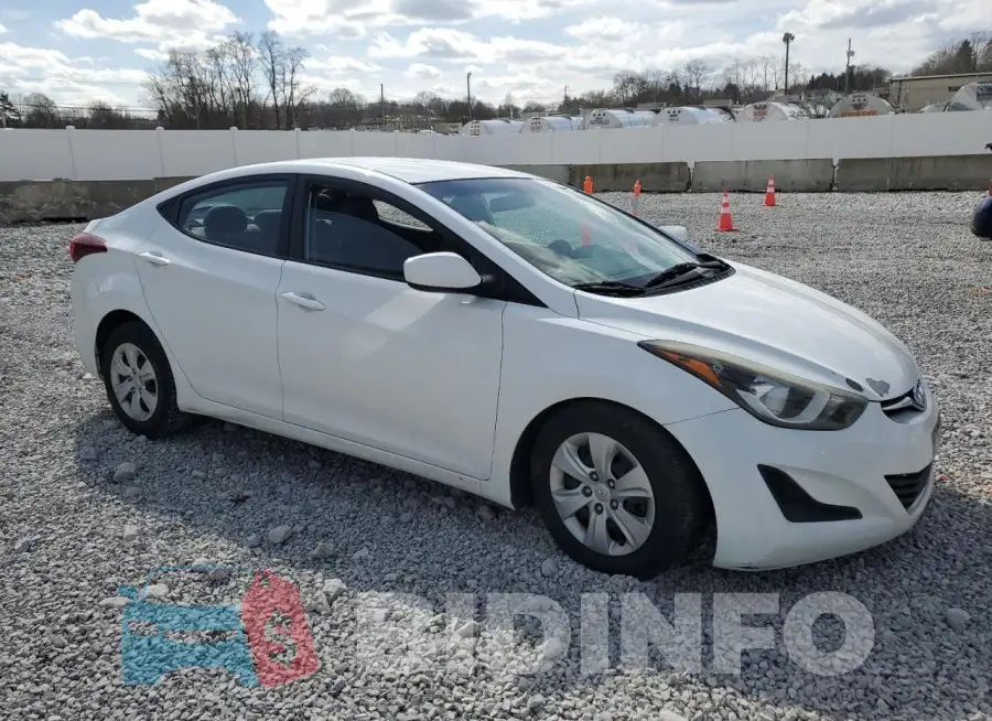 5NPDH4AE8GH681002 Photo# 4