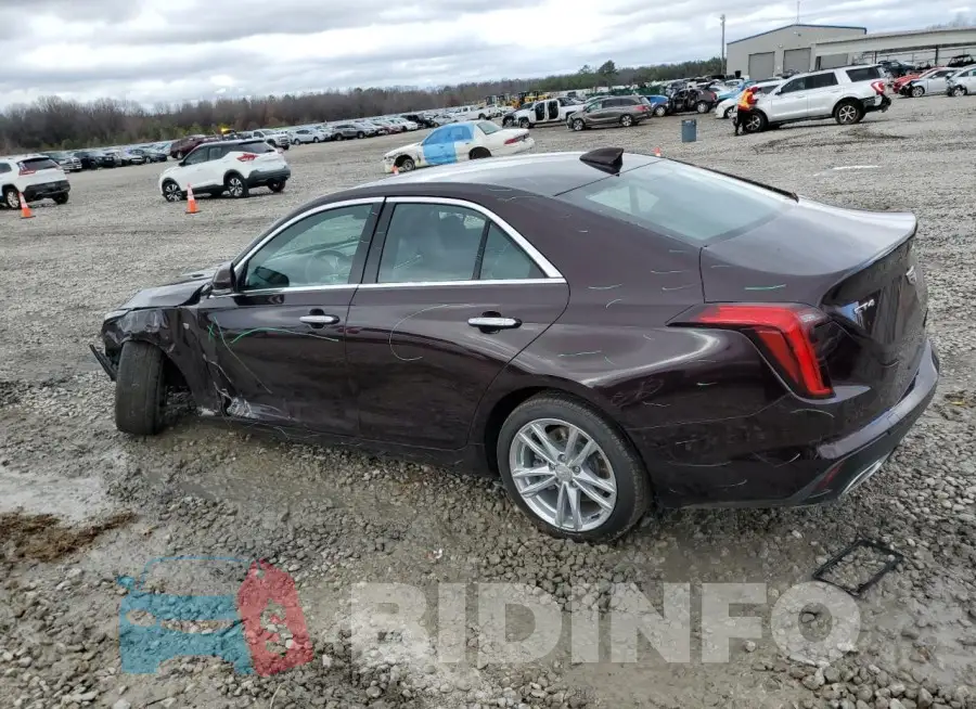 1G6DJ5RK8M0144310 Photo# 2