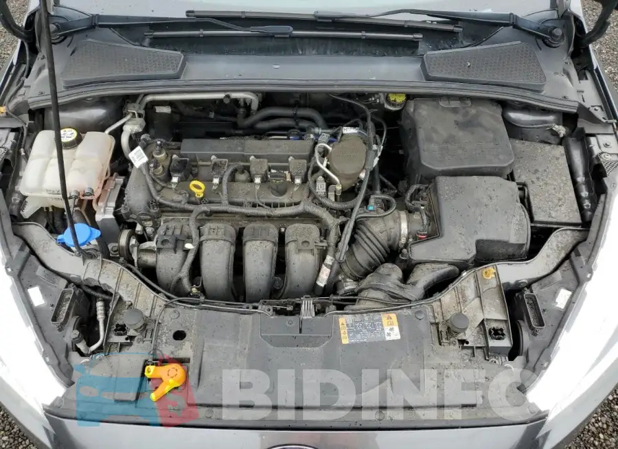 1FADP3K26GL283094 Photo# 11