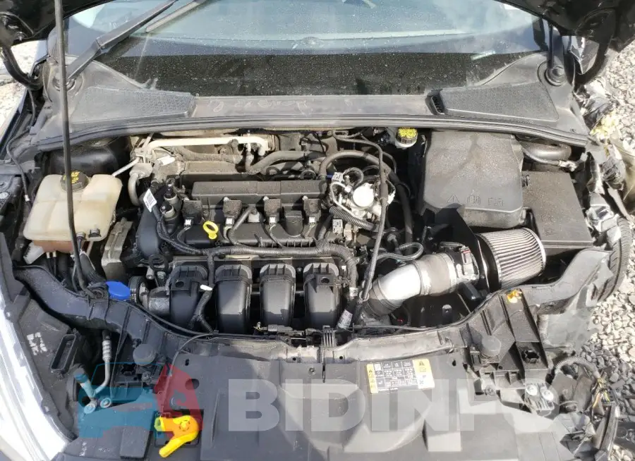 1FADP3N21GL387083 Photo# 12