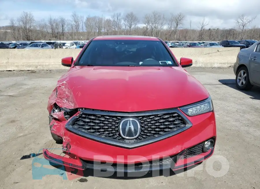 19UUB2F69KA005117 Photo# 5