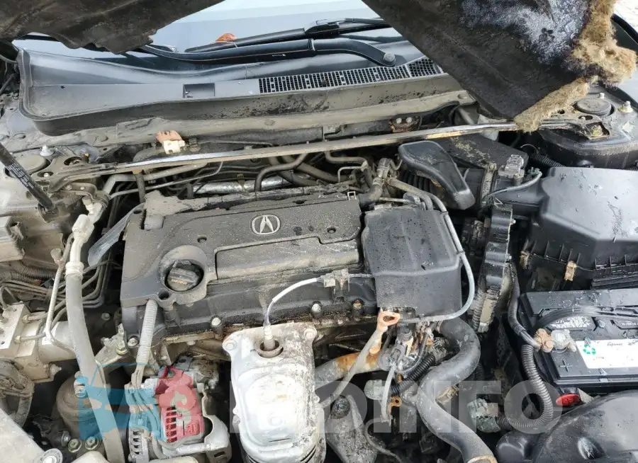 19UUB1F36LA002659 Photo# 11