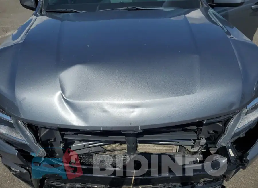 1GCGSCEA6M1120123 Photo# 11