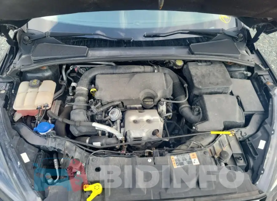 1FADP3FE0GL239807 Photo# 11