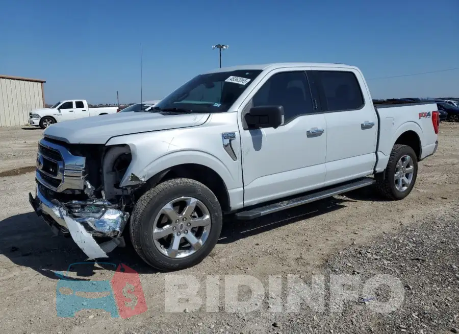 1FTFW1E80MKD21768 Photo# 1
