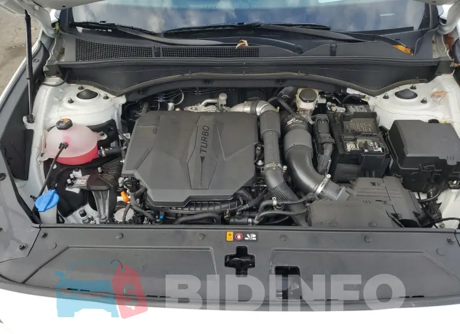 5NMS5DAL9PH638154 Photo# 11