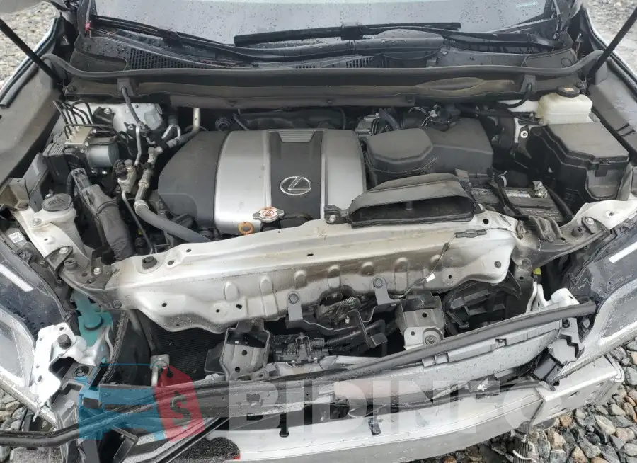 2T2ZZMCA6KC137456 Photo# 12