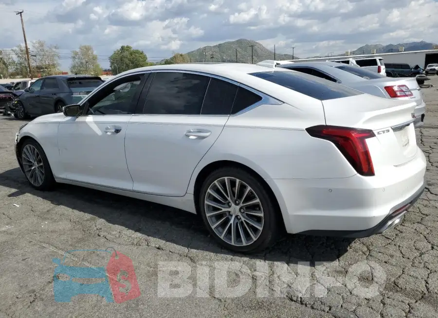 1G6DN5RK9L0133397 Photo# 2