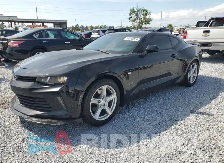 1G1FB1RS9J0135874 Photo# 1