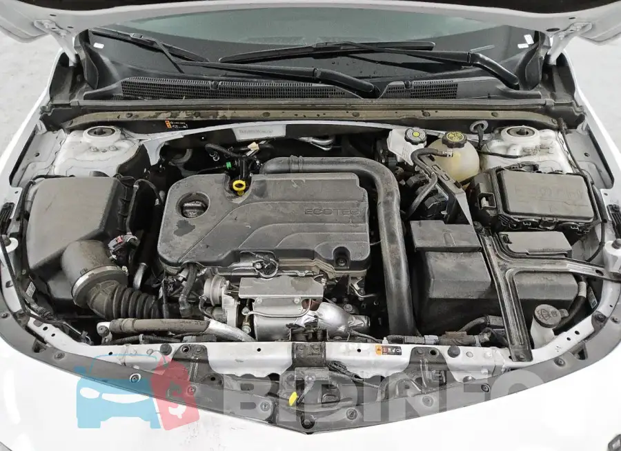 1G1ZD5ST3PF248713 Photo# 11
