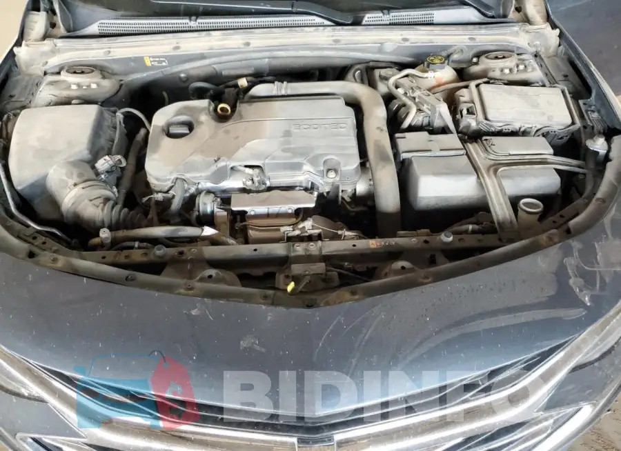 1G1ZD5ST5KF212174 Photo# 11