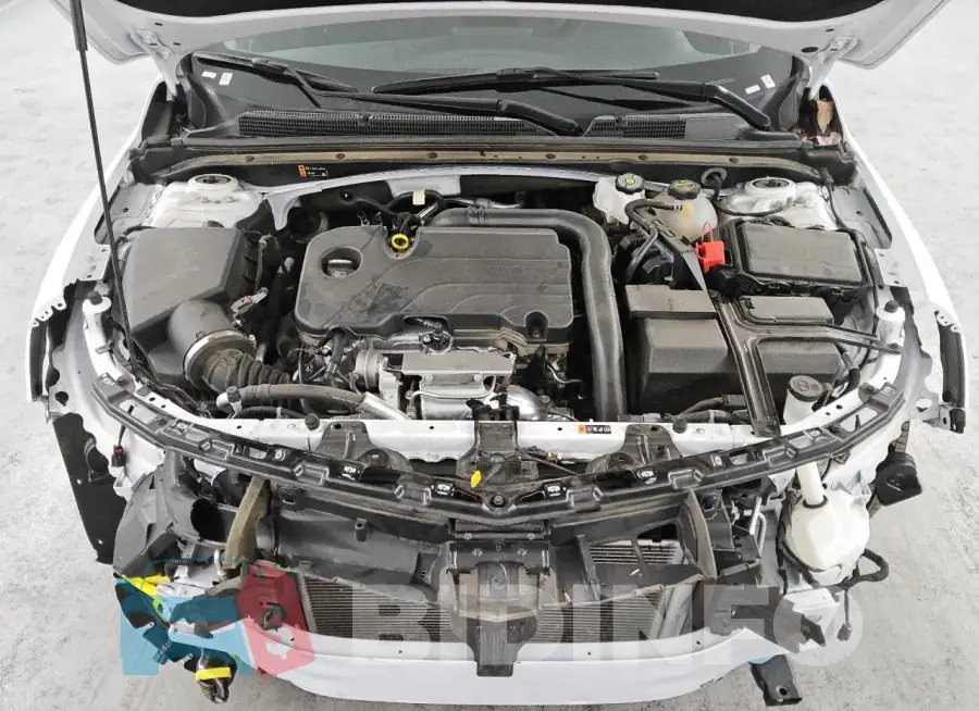 1G1ZD5ST7RF243078 Photo# 11