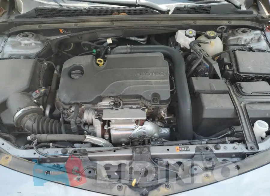 1G1ZD5ST8PF161244 Photo# 11