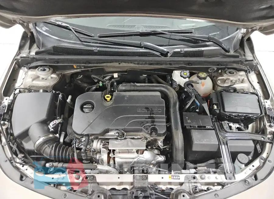 1G1ZD5ST9PF178764 Photo# 11