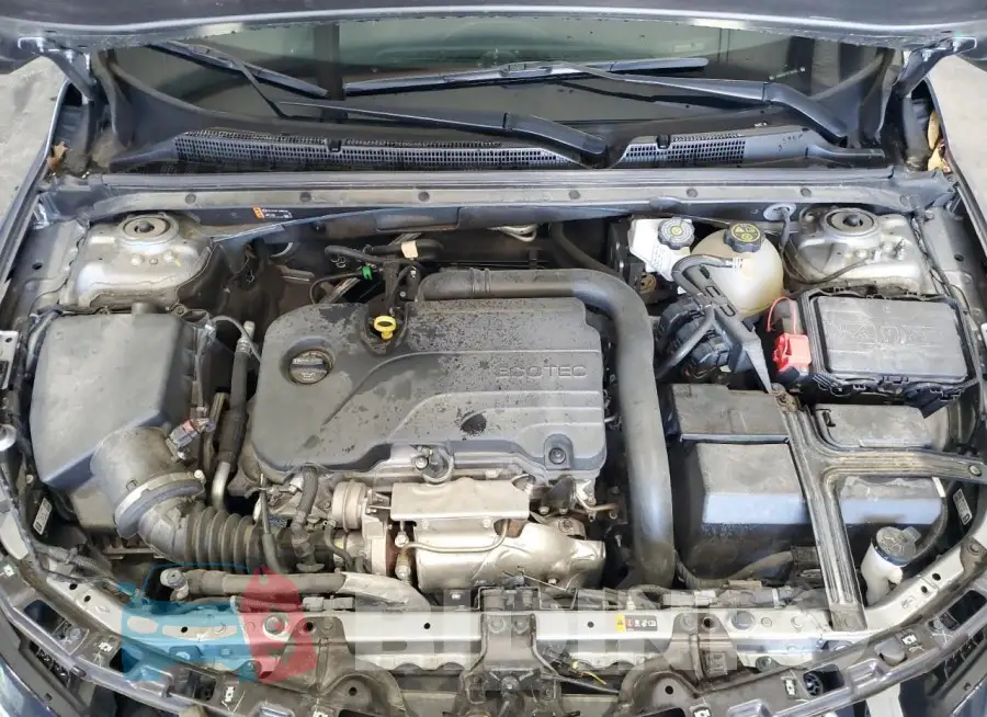 1G1ZD5ST9PF220981 Photo# 11