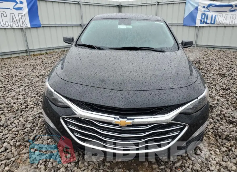 1G1ZD5ST9RF148246 Photo# 5
