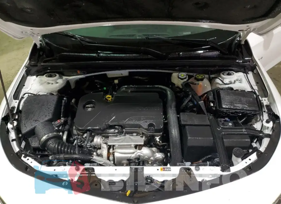 1G1ZD5ST9RF177276 Photo# 11