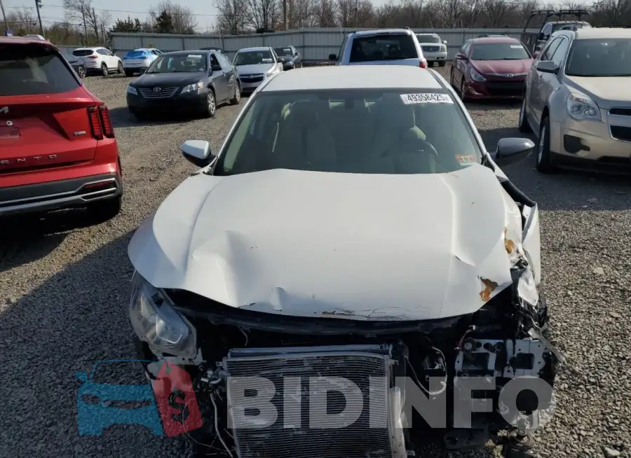 19XFC2F5XHE230843 Photo# 5