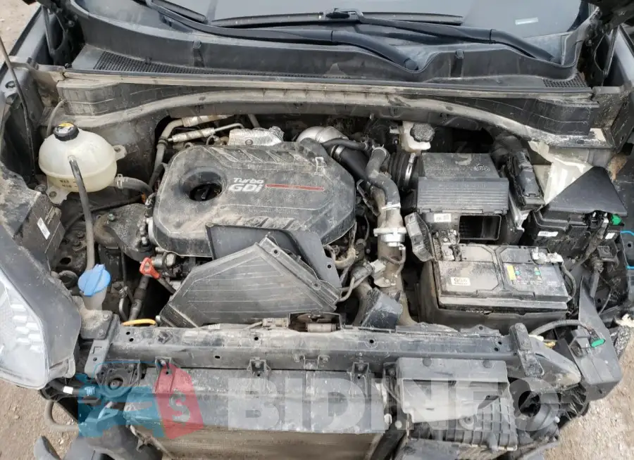 KNDPR3A63N7999544 Photo# 12