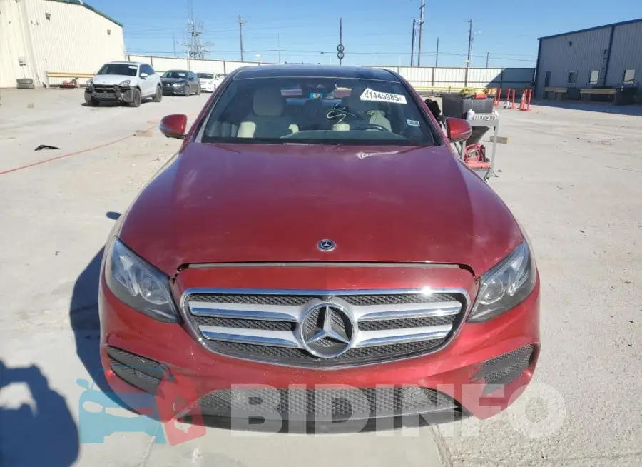 WDDZF4JB9KA560423 Photo# 5