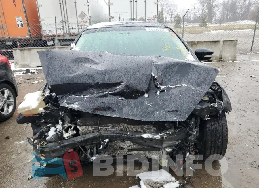 1FADP3F20GL208871 Photo# 5