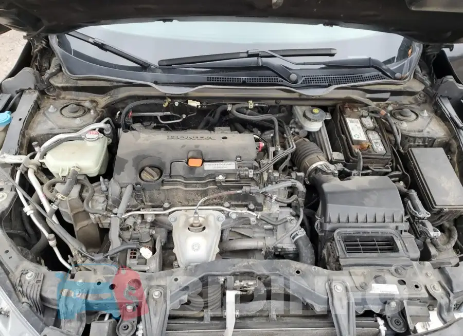 19XFC2F56HE063896 Photo# 11