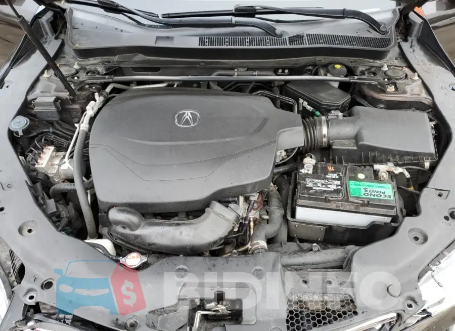 19UUB2F32GA001424 Photo# 11