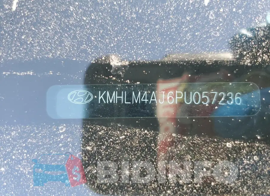 KMHLM4AJ6PU057236 Photo# 13