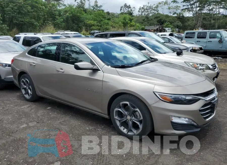 1G1ZD5ST1PF131843 Photo# 4