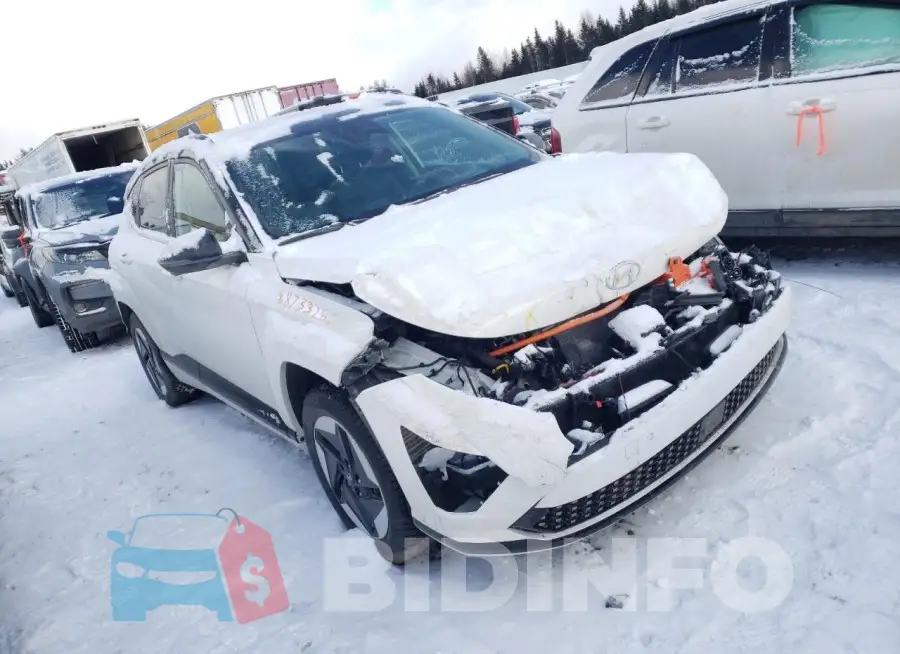 KM8HE3A65RU008282 Photo# 4