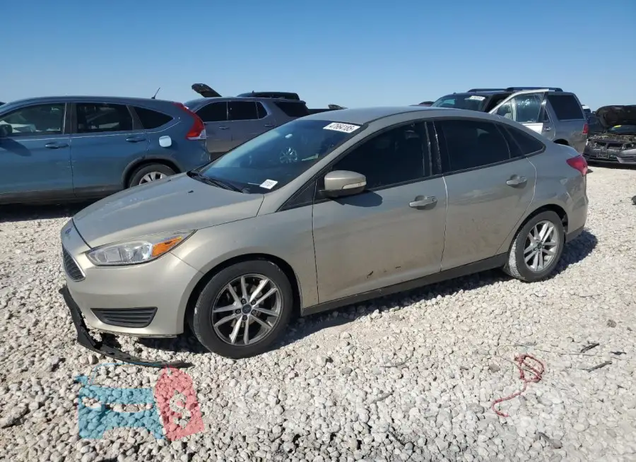 1FADP3F28GL215891 Photo# 1
