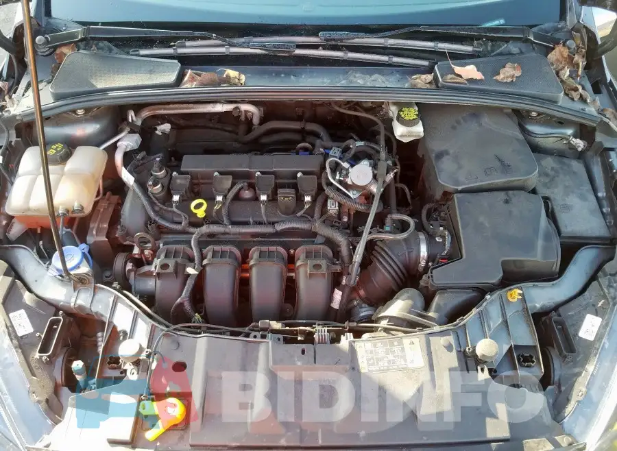 1FADP3M29HL264604 Photo# 7