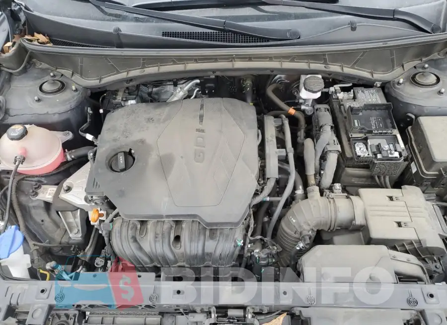 5NMJFCAE4PH171181 Photo# 12