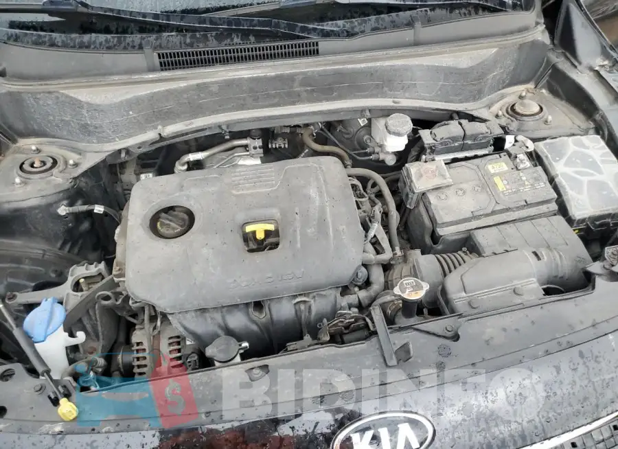 KNDEPCAA9M7142564 Photo# 11