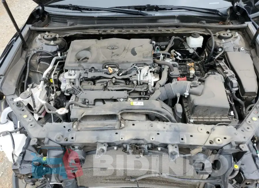 4T1C11AK2LU331686 Photo# 11