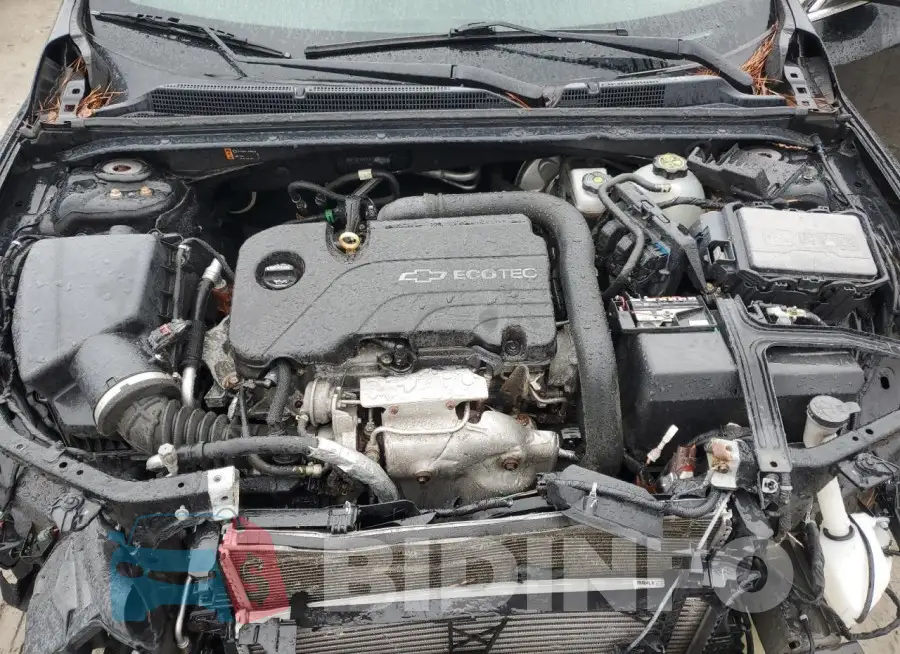 1G1ZD5ST7JF145981 Photo# 11